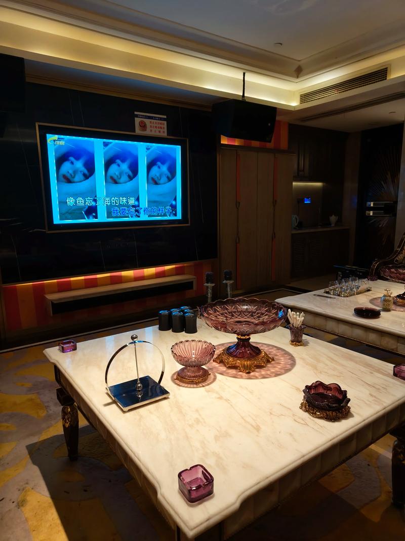 临沧商务ktv实况-云县ktv预定